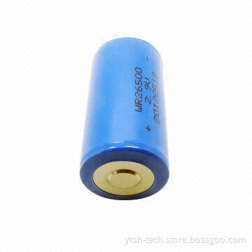 Primary Lithium Battery, WR Battery 2.9V, 3,500mAh Capacity, Used for Electronic Toys